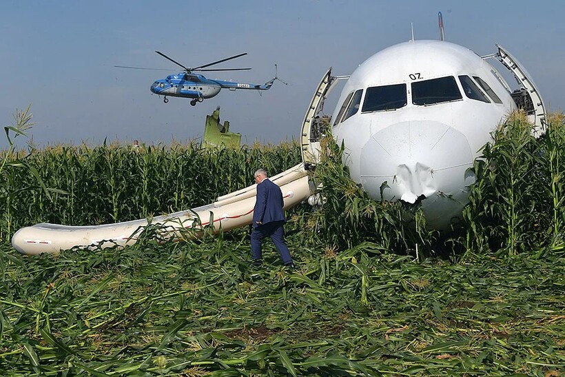 Иногда самолеты садятся даже на кукурузных полях