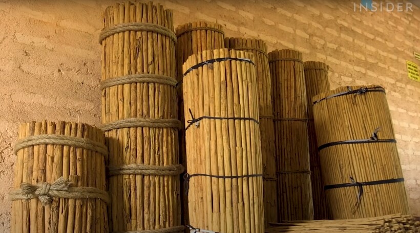 Видео: Почему корица из Цейлона самая дорогая | Общество | Селдон Новости