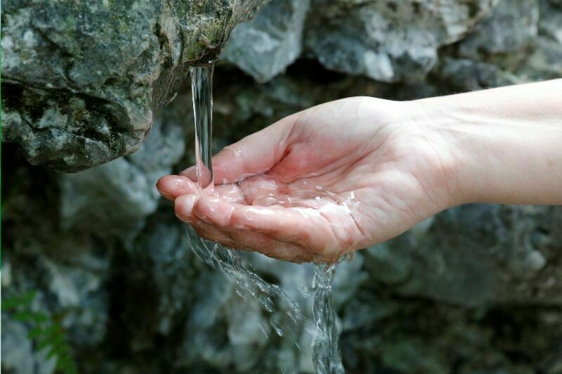Родниковая вода полезна для здоровья