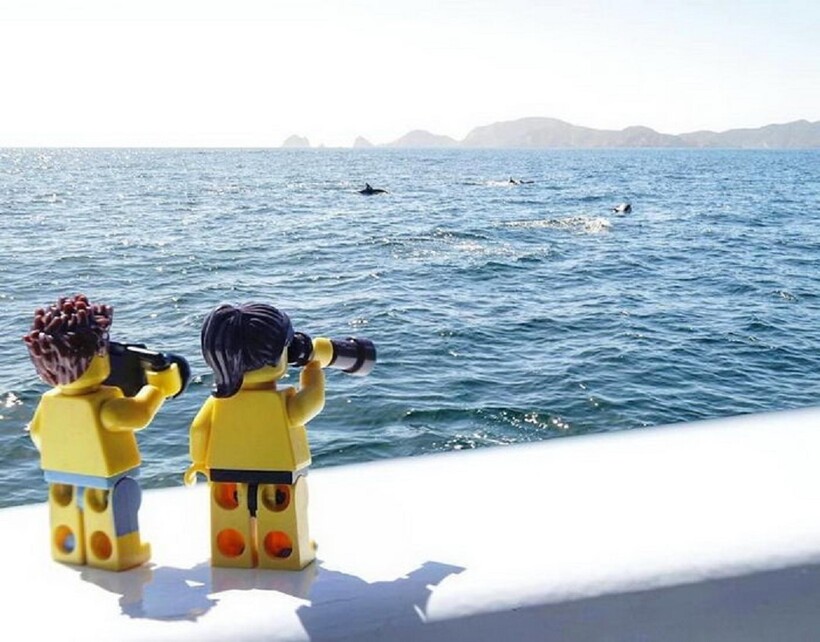 Блог - The LEGO backpacker: игрушечное путешествие по Новой Зеландии глазами любителя LEGO The LEGO backpacker: игрушечное путешествие по Новой Зеландии глазами любителя LEGO