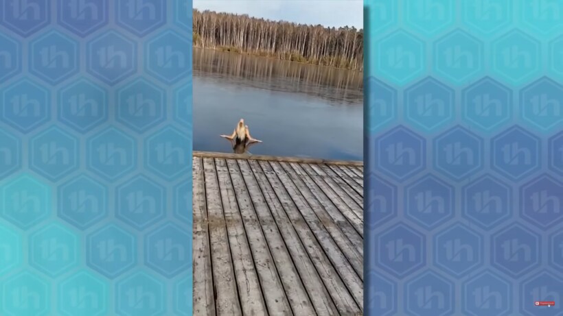Блог - Видео: Случаи, когда все пошло не по плану Видео: Случаи, когда все пошло не по плану