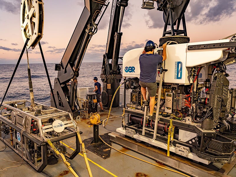 Исследовательское судно Stepping Stones в одной из предыдущих экспедиций. Фото: NOAA Ocean Exploration Исследовательское судно Stepping Stones в одной из предыдущих экспедиций. Фото: NOAA Ocean Exploration