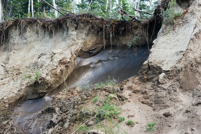 Но даже в горах редко встретишь отдельные промерзшие участки. Фото: Bureau of Land Management Alaska/flickr.com Но даже в горах редко встретишь отдельные промерзшие участки. Фото: Bureau of Land Management Alaska/flickr.com