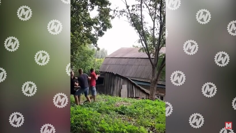 Блог - Видео: Самые смешные моменты, когда люди жалели о содеянном уже в тот же момент Видео: Самые смешные моменты, когда люди жалели о содеянном уже в тот же момент