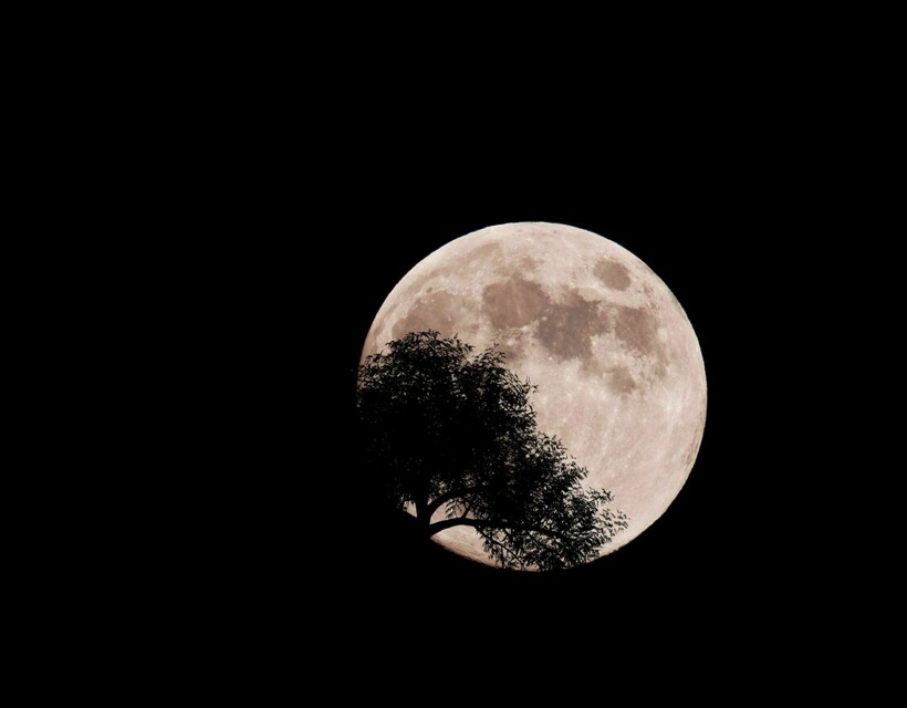 Фото: Efra Gomez/flickr.com Фото: Efra Gomez/flickr.com