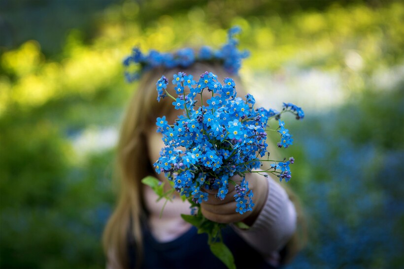 Od heřmánku po ibišek: 12 květin, které jsou symboly v různých zemích