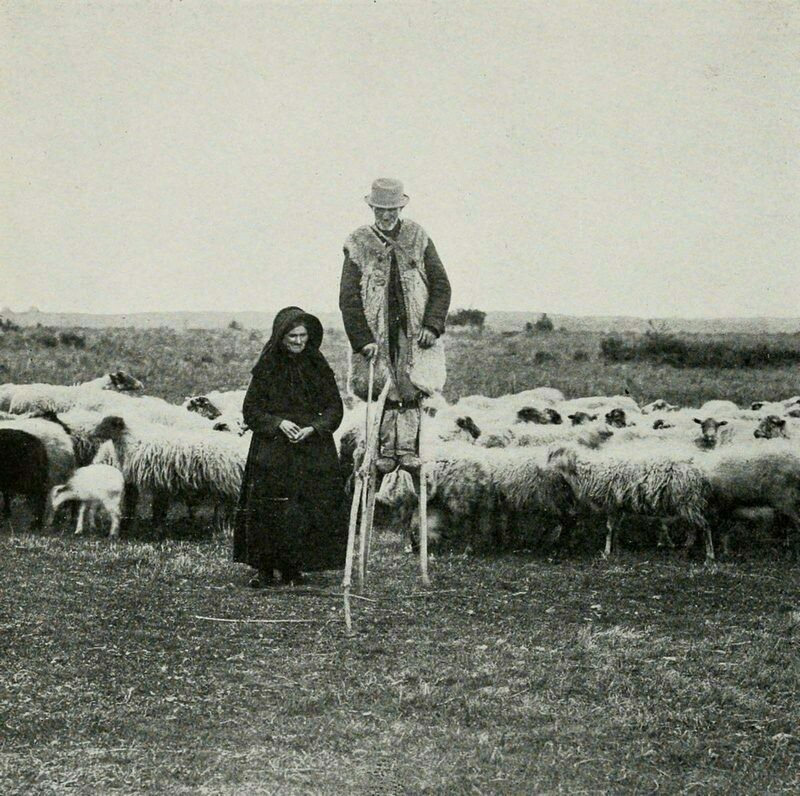 Пастух на ходулях, начало ХХ века