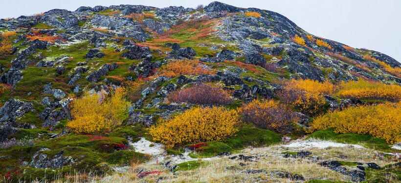 Живописная природа Териберки на Кольском полуострове. Фото: Ninara/flickr.com Живописная природа Териберки на Кольском полуострове. Фото: Ninara/flickr.com