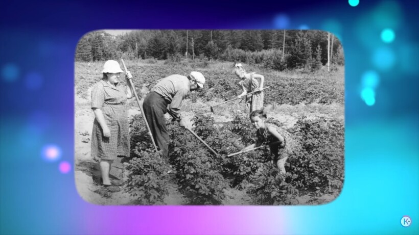 Блог - Видео: По какой причине советским гражданам выделяли под дачу всего 6 соток земли Видео: По какой причине советским гражданам выделяли под дачу всего 6 соток земли
