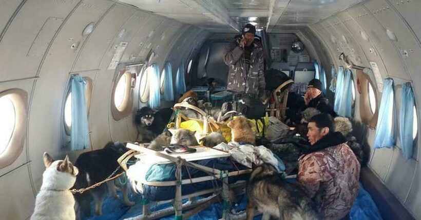 Блог - 12 случаев, когда полет на самолете по впечатлениям мог переплюнуть сам отпуск 12 случаев, когда полет на самолете по впечатлениям мог переплюнуть сам отпуск