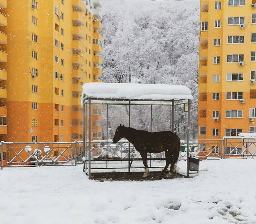 Блог - 10 лучших снимков с конкурса уличной фотографии TDM Street Photography Awards 2021 10 лучших снимков с конкурса уличной фотографии TDM Street Photography Awards 2021
