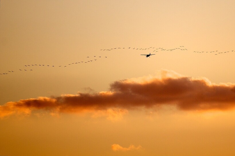Фото: ilangr/pixabay.com Фото: ilangr/pixabay.com