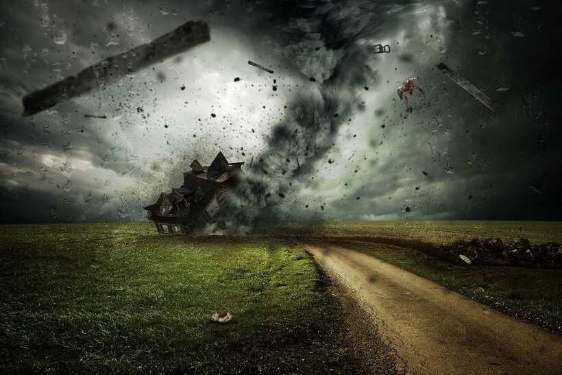 Фото: Comfreak/pixabay.com Фото: Comfreak/pixabay.com