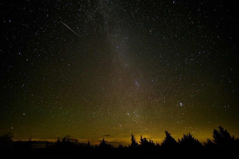 Фото: DumitruS/pixabay.com Фото: DumitruS/pixabay.com