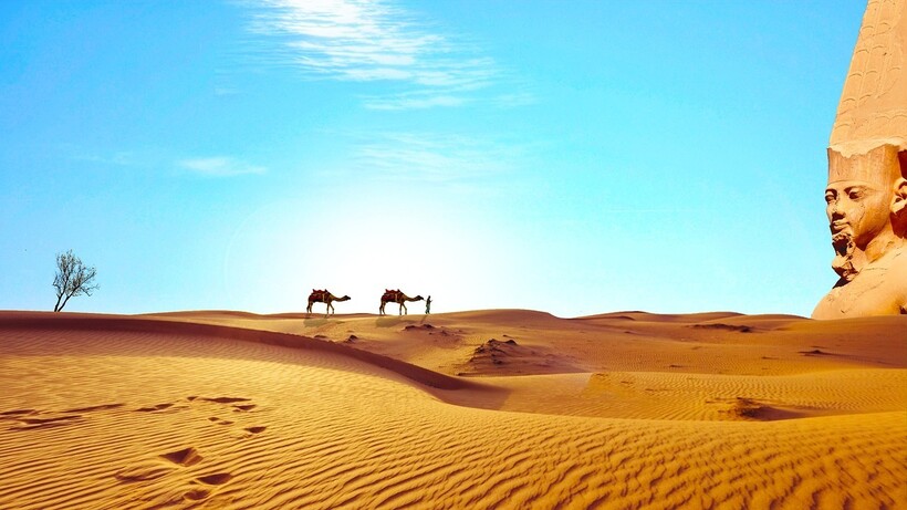 Фото: 4144132/pixabay.com Фото: 4144132/pixabay.com
