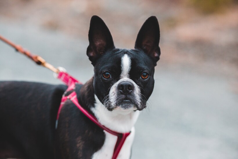Фото: Erik Mclean/pexels.com Фото: Erik Mclean/pexels.com
