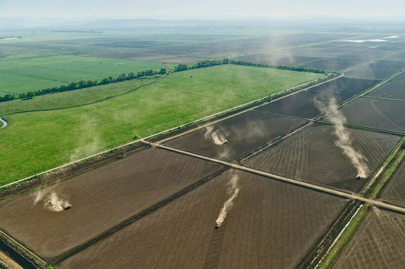 Процесс подготовки земли к посеву. Фото: красноармейскийрайон.рф