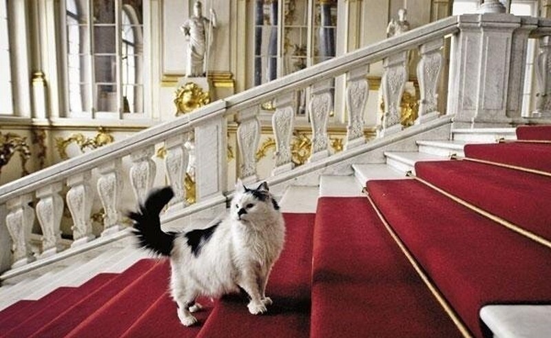 Блог - 15 животных, у которых есть крутая работа 15 животных, у которых есть крутая работа