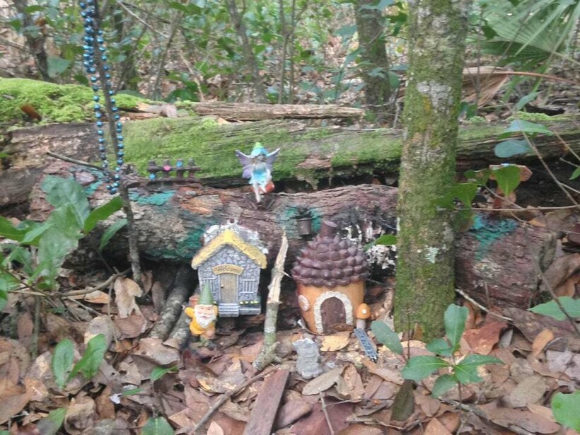 10 неожиданных находок в лесу, которые поставили людей в тупик