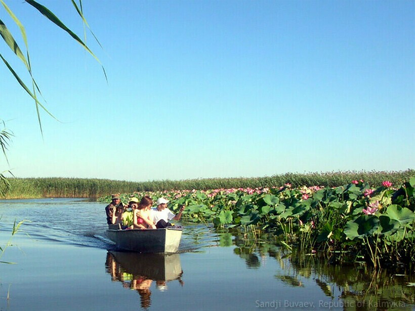 Лагань каспийское море фото