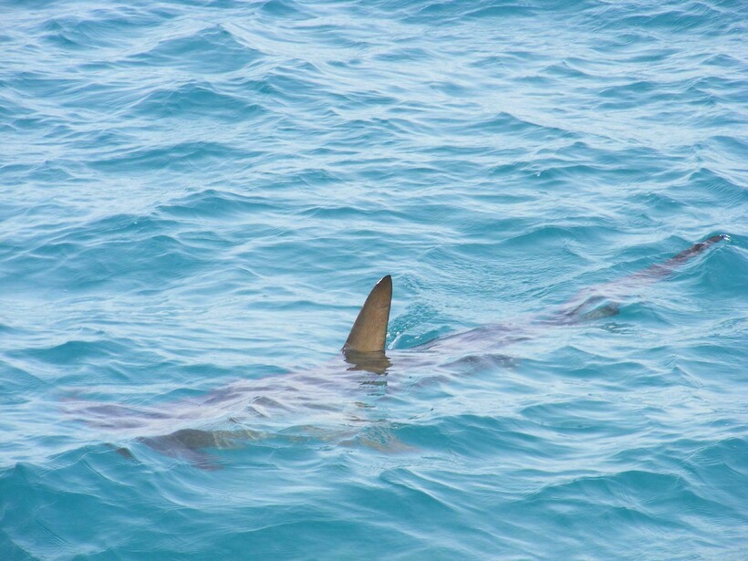 Фото: alondav/pixabay.com Фото: alondav/pixabay.com