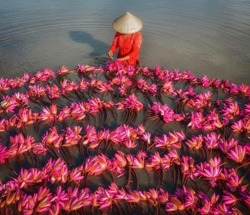 14 потрясающих фото, которые заставят влюбиться во Вьетнам