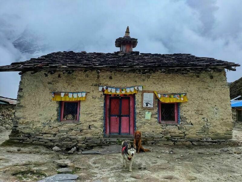 16 фото путешественницы, которая покоряет Гималаи со своими собаками