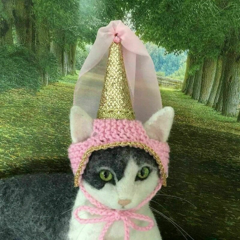 14 смешных шляп для кошек, которые вяжет одна рукодельница