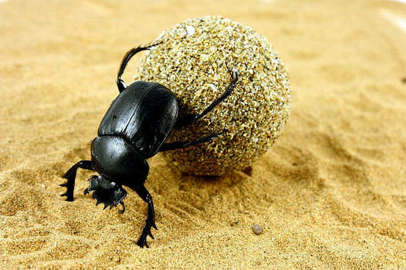Фото: istockphoto.com