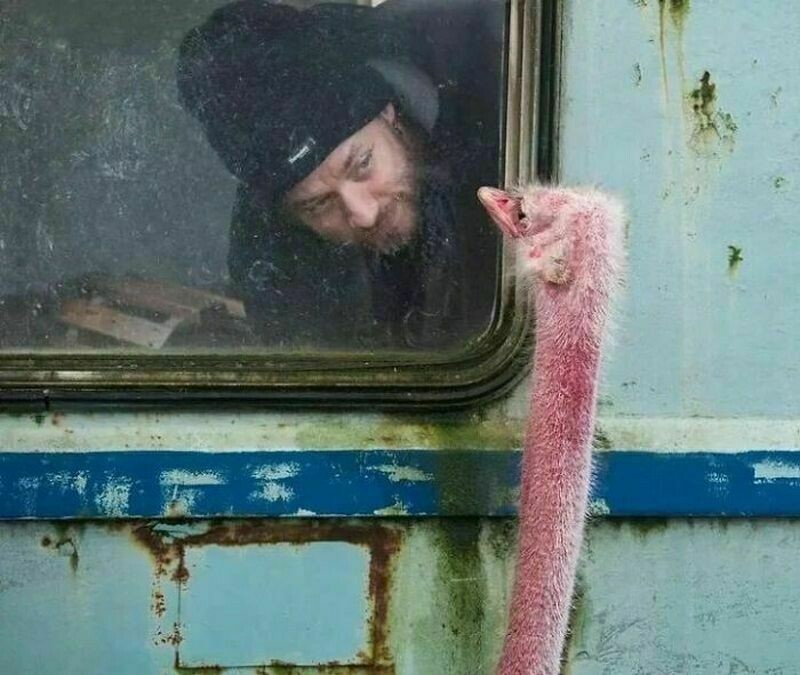 12 потрясающих уличных фото, которые больше, чем фото