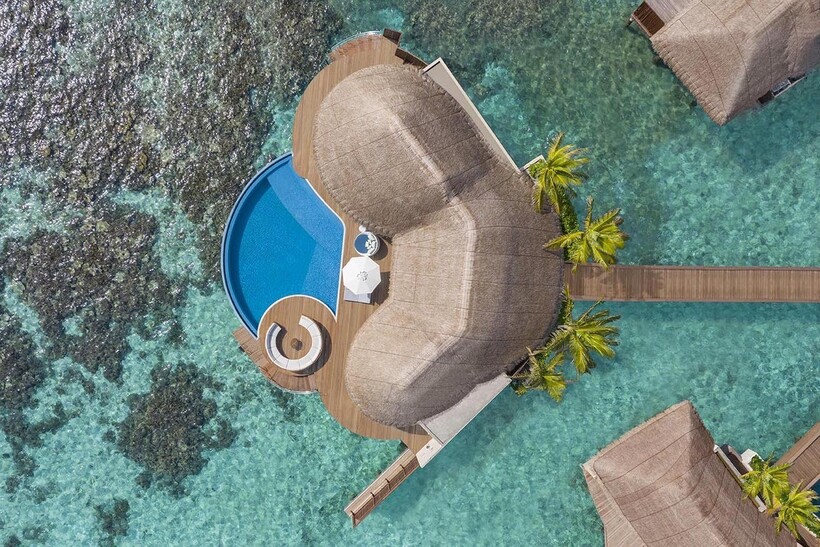 Коктейльная феерия на курорте W Maldives