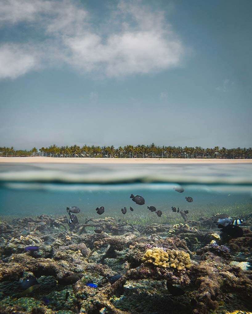 Коралловый рай ​на курорте St Regis Bali​​!