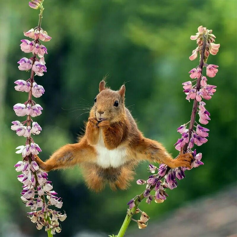 Geert Weggen Geert Weggen