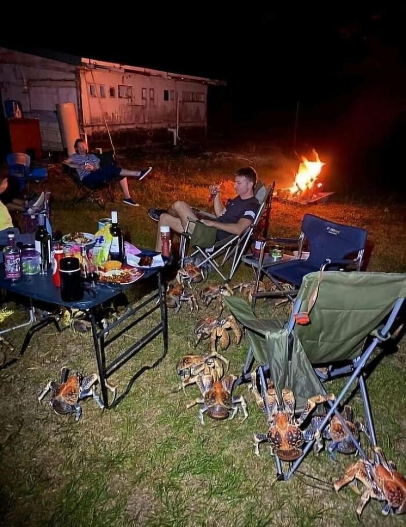 Блог - 15 забавных фотофактов об Австралии, которыми поделились сами австралийцы 15 забавных фотофактов об Австралии, которыми поделились сами австралийцы