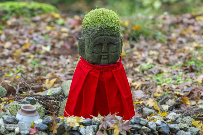 Фото: jukurae/shutterstock.com Фото: jukurae/shutterstock.com
