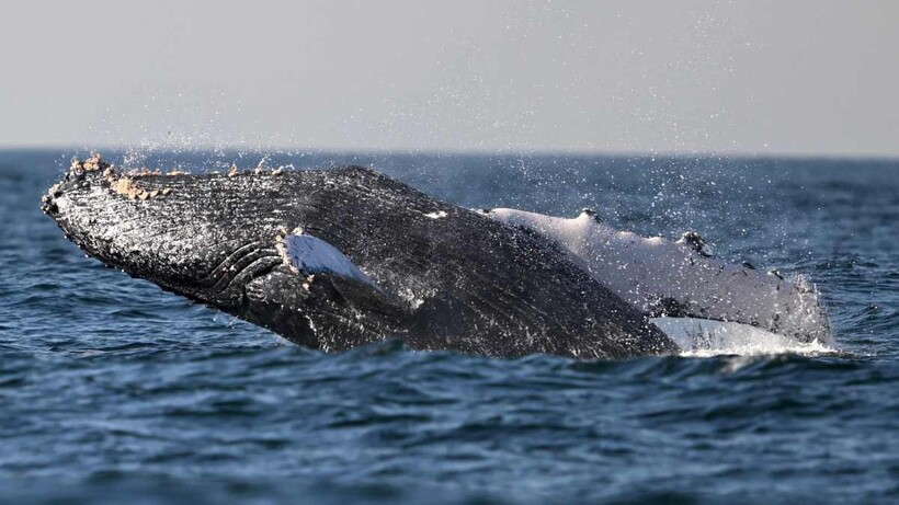 Фото: mensjournal.com Фото: mensjournal.com