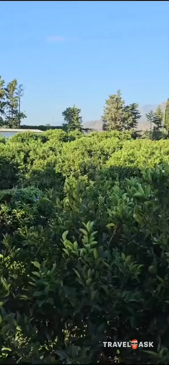 video__preview