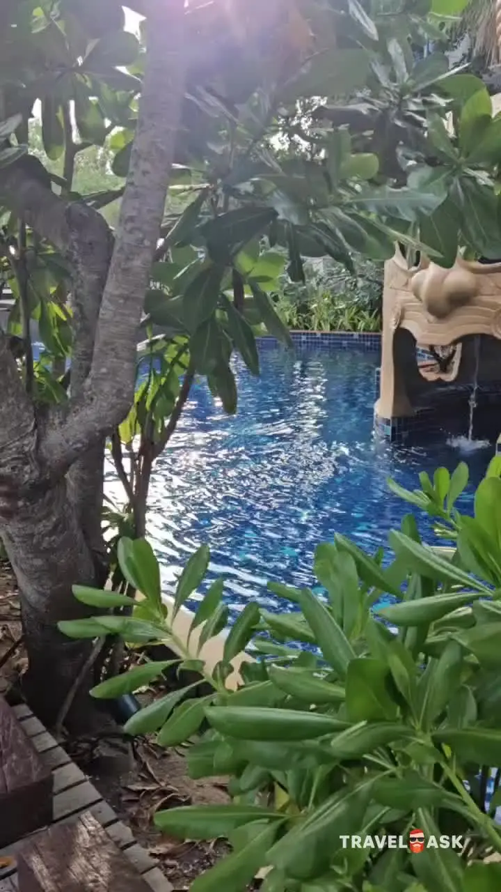 video__preview