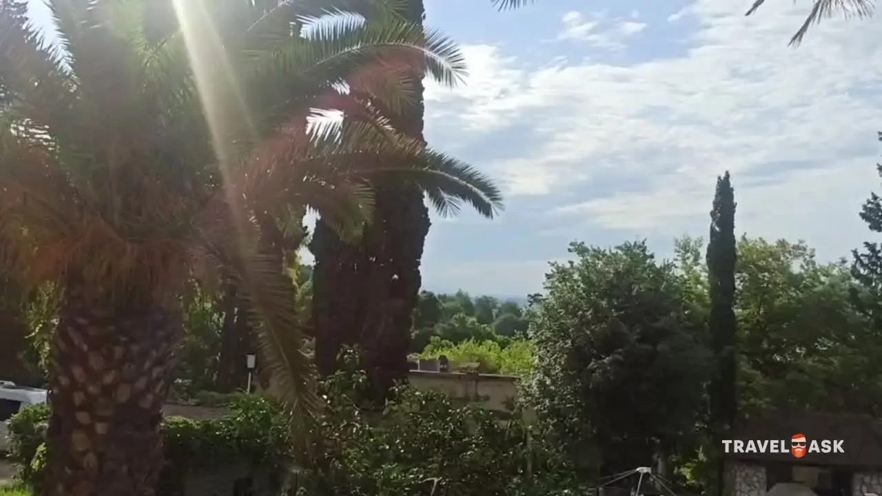 video__preview