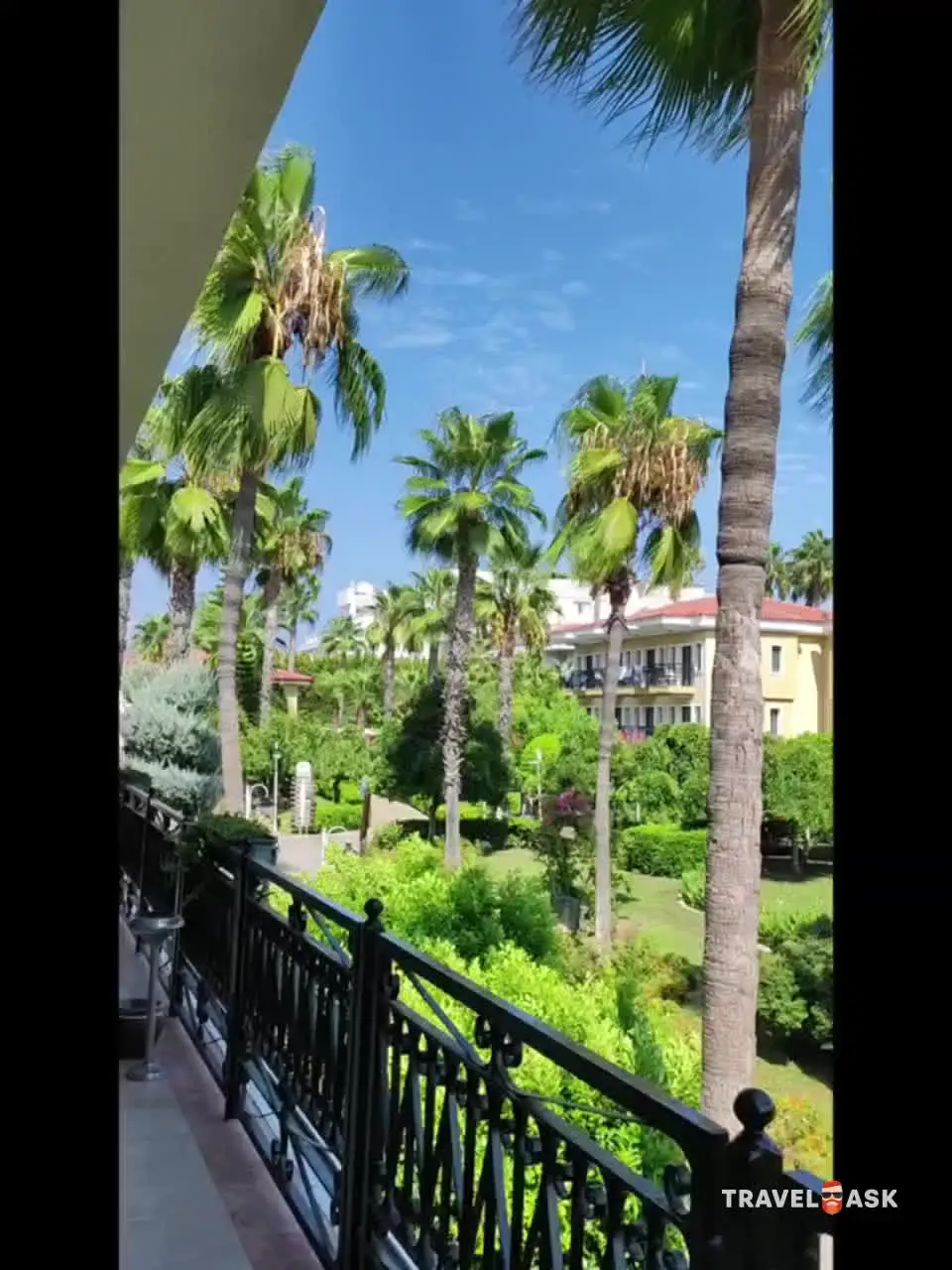 video__preview
