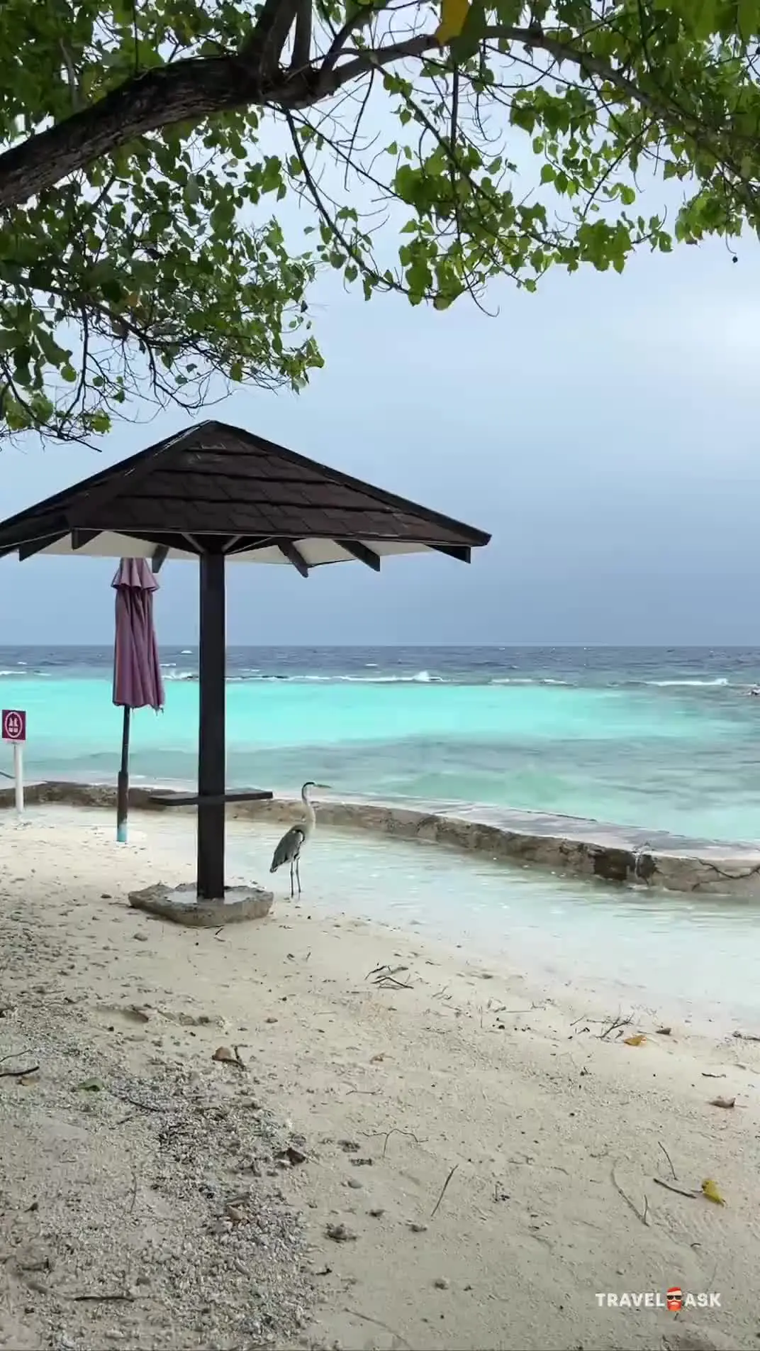 Ellaidhoo Maldives By Cinnamon (Ex.Chaaya Reef Ellaidhoo)