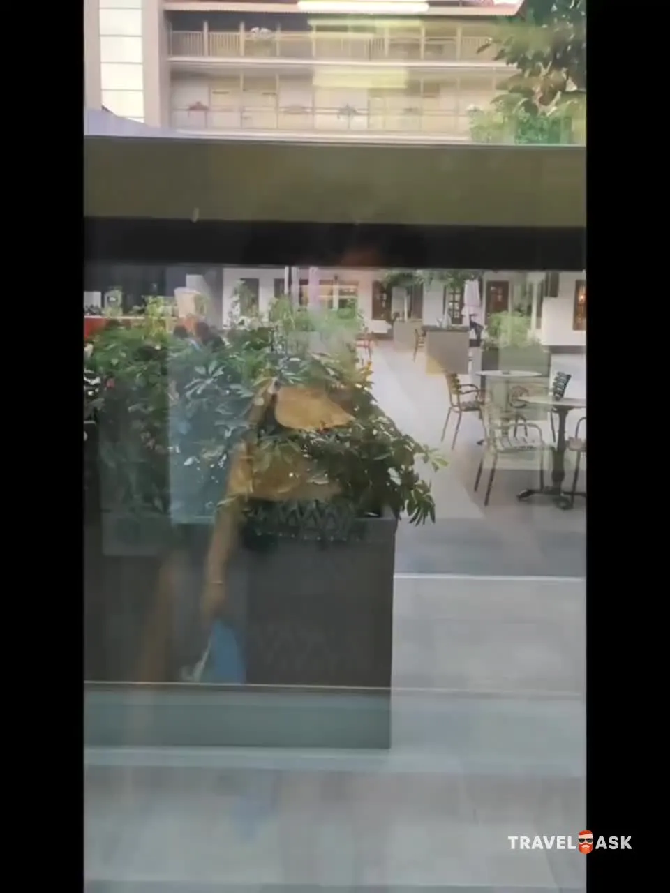 video__preview