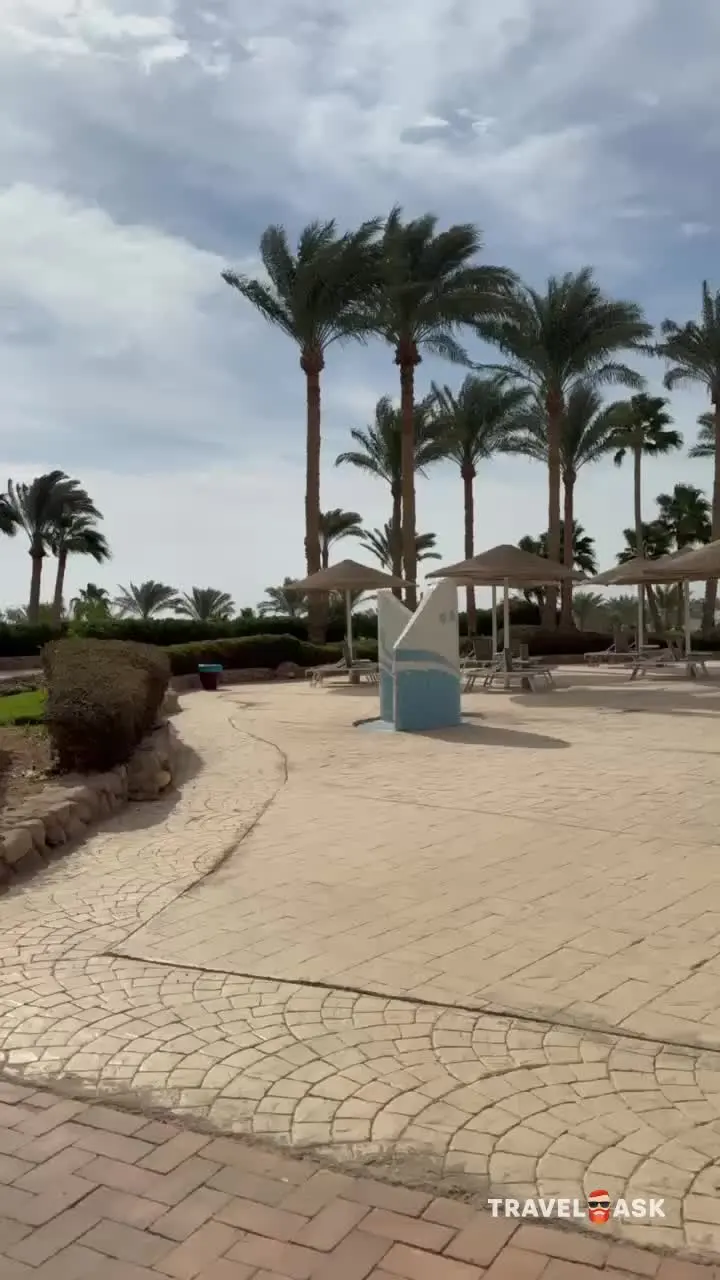 video__preview
