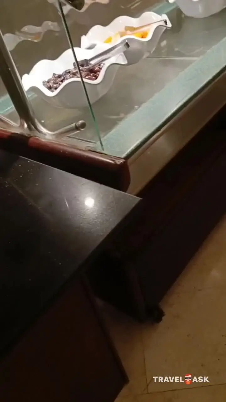 video__preview