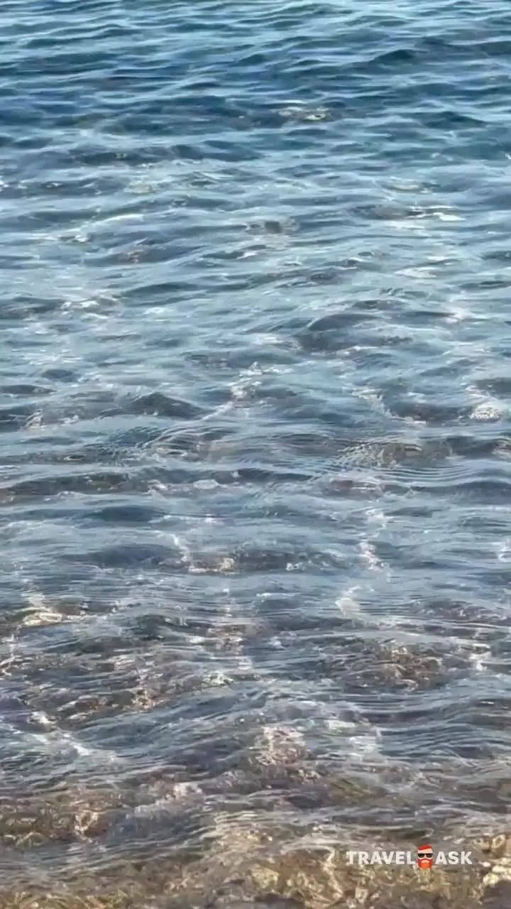 video__preview