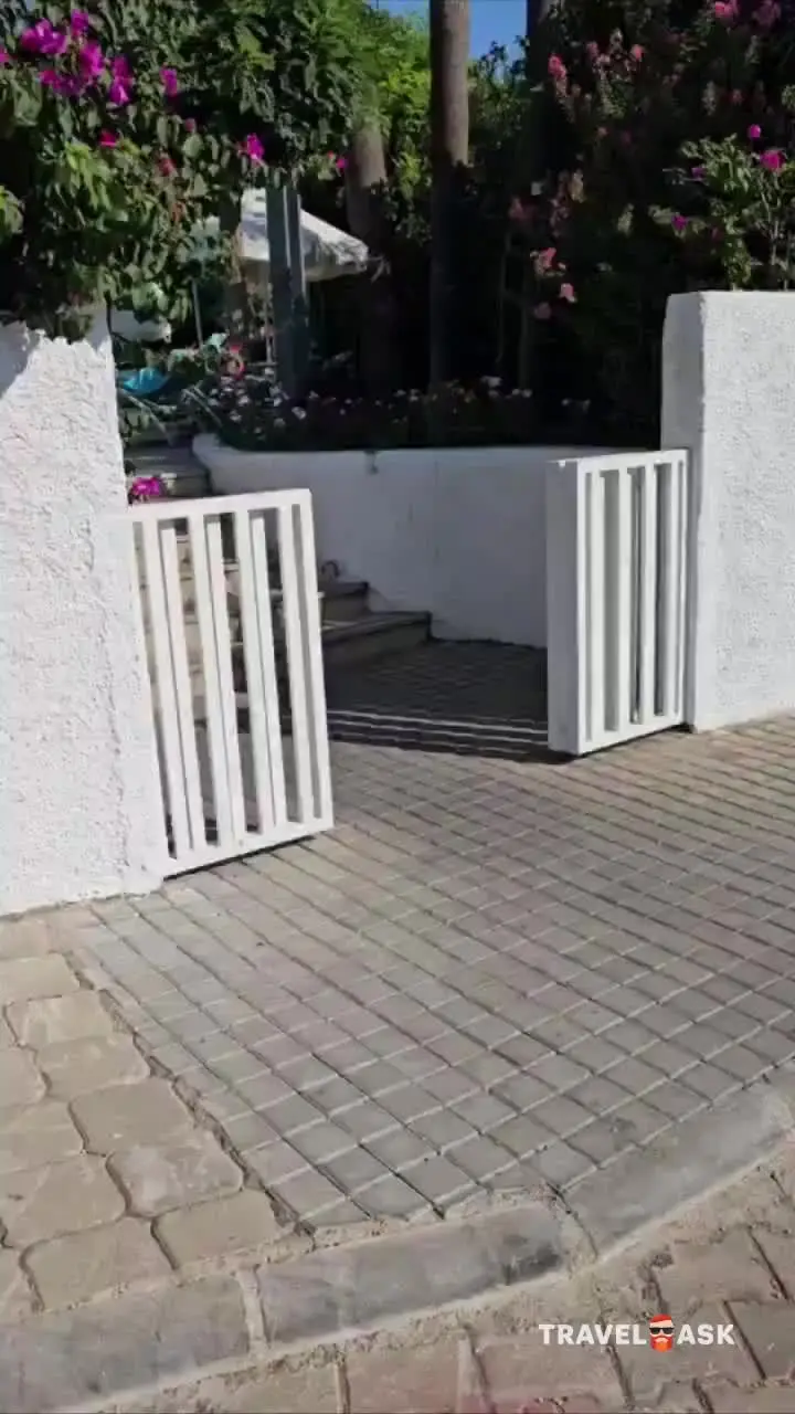 video__preview