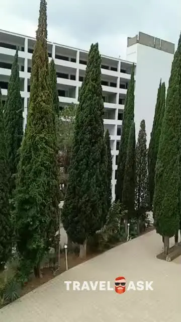 video__preview