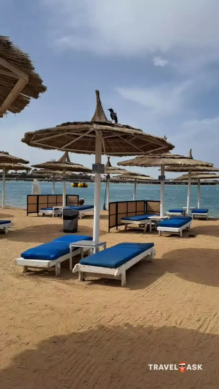 Pickalbatros Jungle Aqua Park Resort Neverland Hurghada