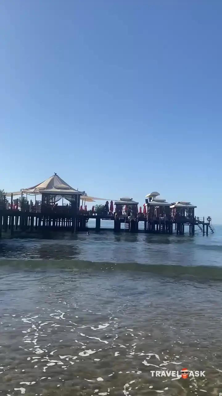 video__preview