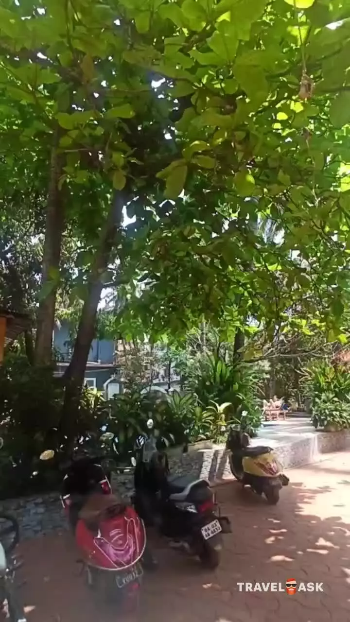 video__preview